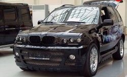 4 899 р. Комплект противотуманных фар в передний бампер Тарантул на BMW X5 E53 дорестайлинг (1999-2003)  с доставкой в г. Тольятти. Увеличить фотографию 2