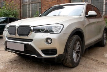 6 649 р. Защитная сетка решетки радиатора Стрелка 11 Премиум (алюминий) BMW X3 F25 рестайлинг (2014-2017) (Цвет: черный)  с доставкой в г. Тольятти. Увеличить фотографию 2