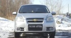 1 039 р. Защитная сетка решетки переднего бампера RA Chevrolet Aveo T250 седан рестайлинг (2006-2011)  с доставкой в г. Тольятти. Увеличить фотографию 3