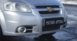 1 259 р. Защитная сетка решетки переднего бампера RA  Chevrolet Aveo  T250 (2006-2011) седан рестайлинг  с доставкой в г. Тольятти. Увеличить фотографию 1