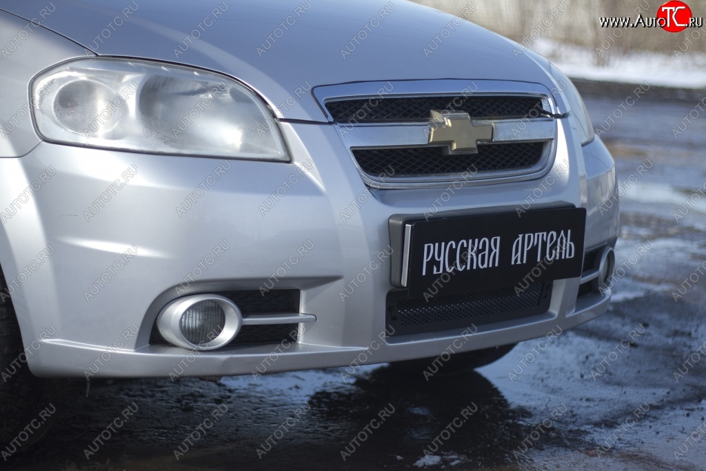 1 259 р. Защитная сетка решетки переднего бампера RA  Chevrolet Aveo  T250 (2006-2011) седан рестайлинг  с доставкой в г. Тольятти