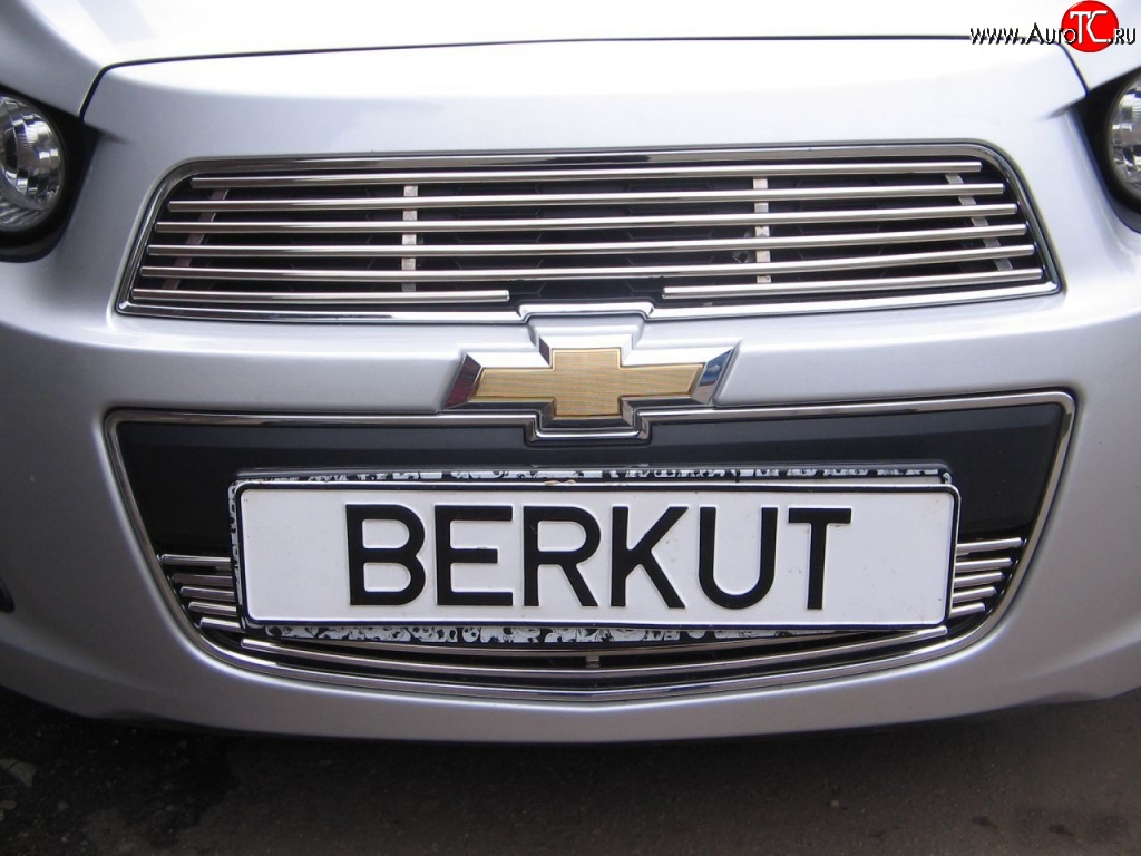 3 999 р. Декоративная вставка воздухозаборника Berkut Chevrolet Aveo T300 седан (2011-2015)  с доставкой в г. Тольятти