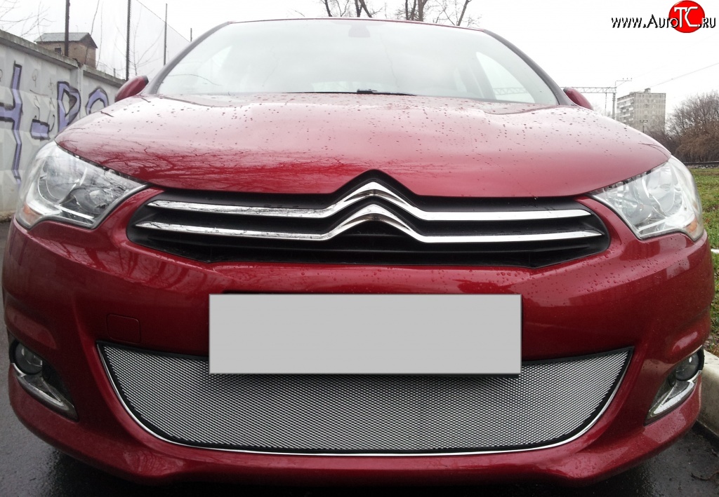 1 539 р. Сетка на бампер (хетчбек) Russtal (хром)  CITROEN C4  B7 (2011-2018) хэтчбэк 5 дв.  с доставкой в г. Тольятти