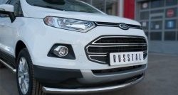 15 649 р. Одинарная защита переднего бампера диаметром 63 мм SLITKOFF Ford EcoSport дорестайлинг (2013-2019)  с доставкой в г. Тольятти. Увеличить фотографию 3