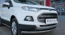 15 649 р. Защита переднего бампера (Ø75х42 мм, нержавейка) Russtal Ford EcoSport дорестайлинг (2013-2019)  с доставкой в г. Тольятти. Увеличить фотографию 2