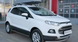 15 649 р. Защита переднего бампера (Ø75х42 мм, нержавейка) Russtal Ford EcoSport дорестайлинг (2013-2019)  с доставкой в г. Тольятти. Увеличить фотографию 4