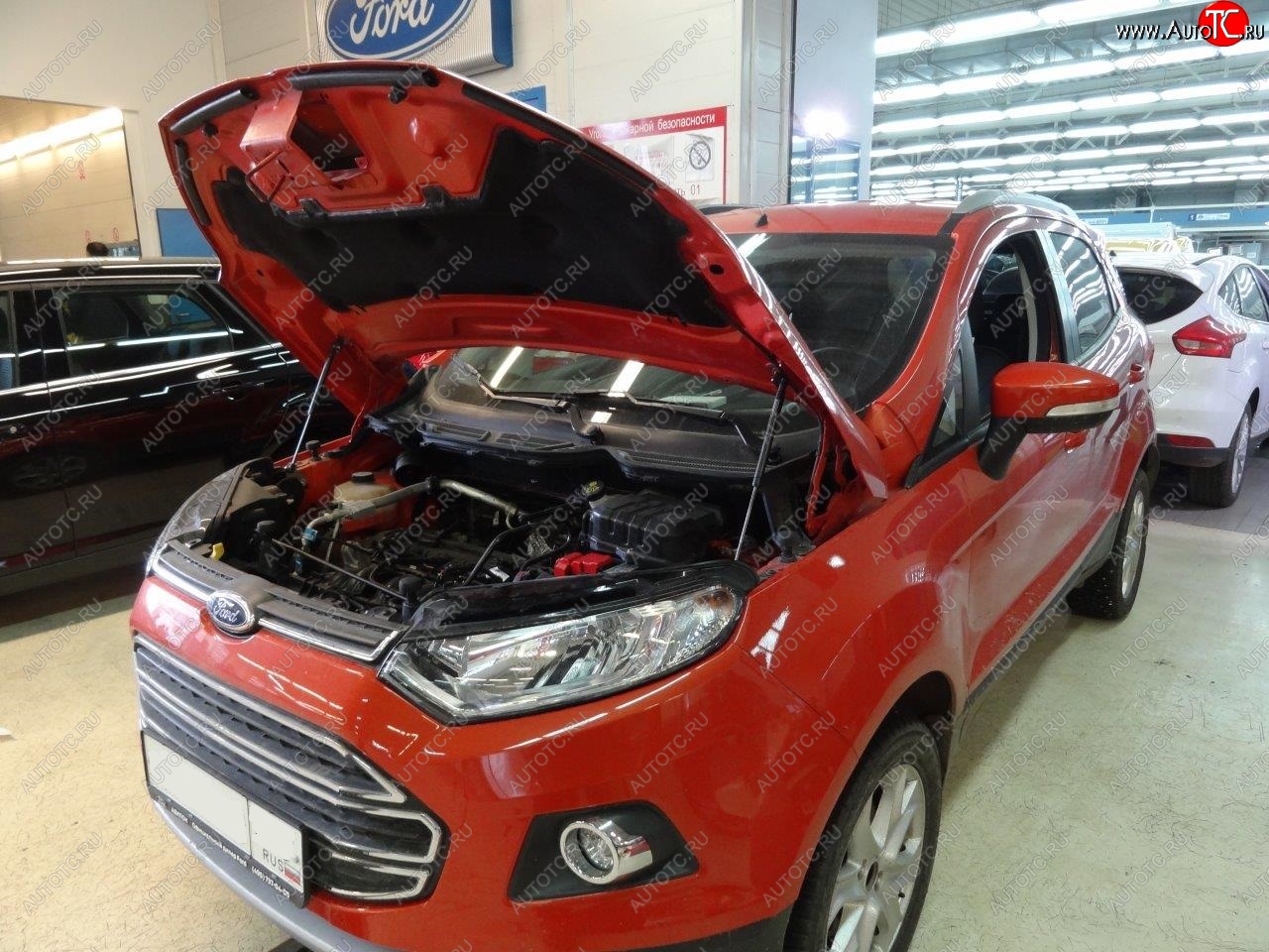 2 299 р. Упоры капота Russtal Ford EcoSport дорестайлинг (2013-2019)  с доставкой в г. Тольятти