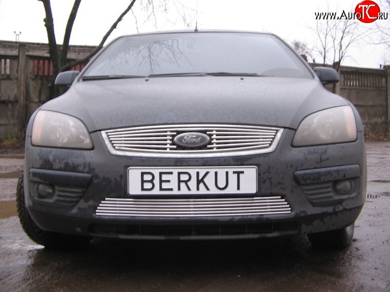 4 999 р. Декоративная вставка решетки радиатора Berkut Ford Focus 2  седан дорестайлинг (2004-2008)  с доставкой в г. Тольятти