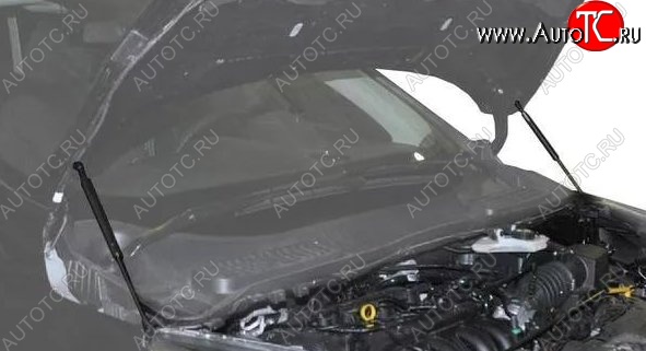 2 199 р. Газовые упоры капота Berkut Ford Kuga 2 рестайлинг (2016-2019)  с доставкой в г. Тольятти