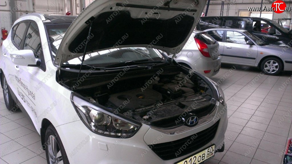 2 199 р. Газовые упоры капота Berkut Hyundai IX35 LM дорестайлинг (2009-2013)  с доставкой в г. Тольятти