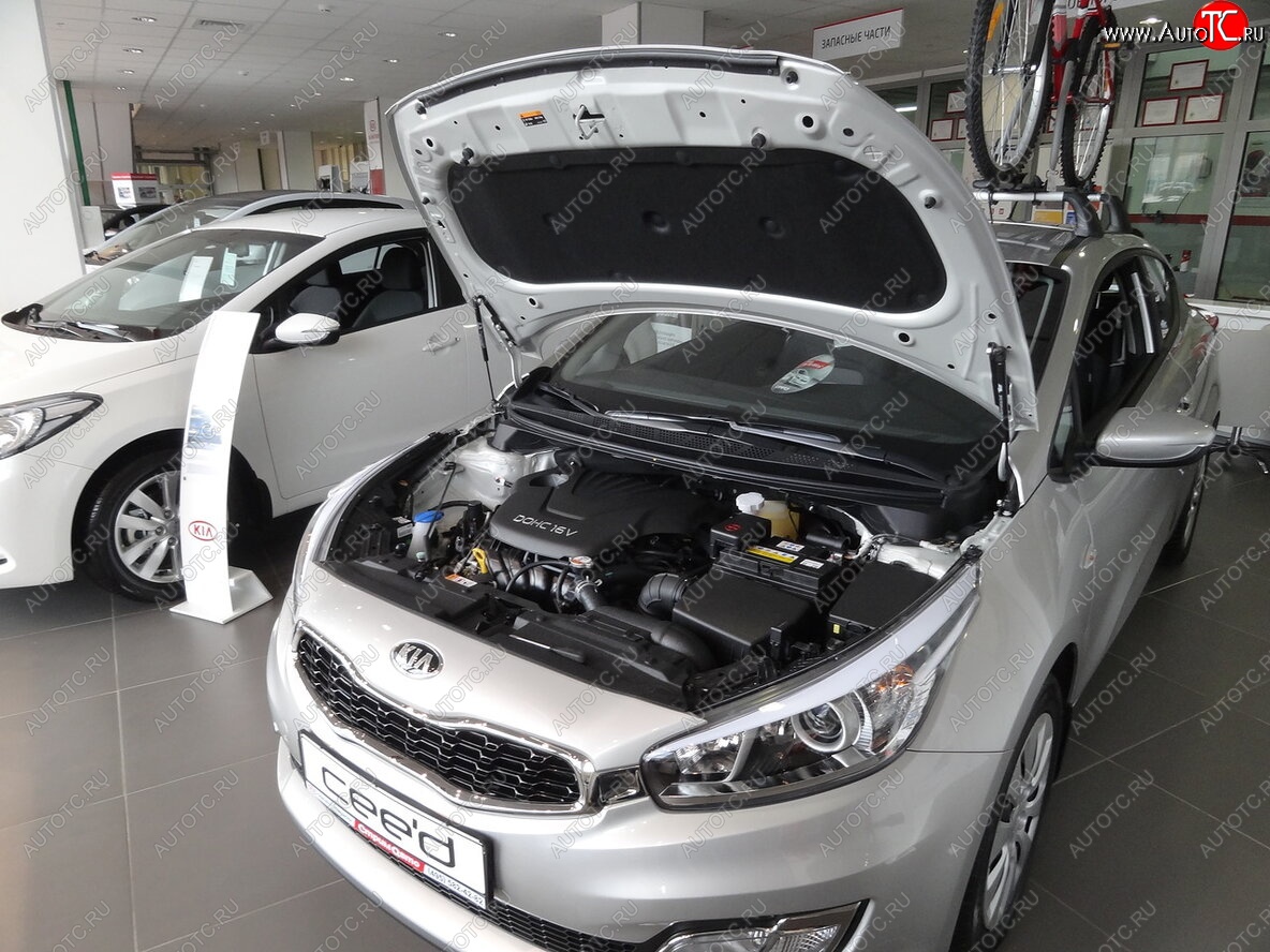 2 049 р. Упоры капота Russtal KIA Ceed 2 JD дорестайлинг универсал (2012-2016)  с доставкой в г. Тольятти