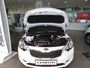 Упоры капота Russtal KIA Cerato 3 YD рестайлинг седан (2016-2019)