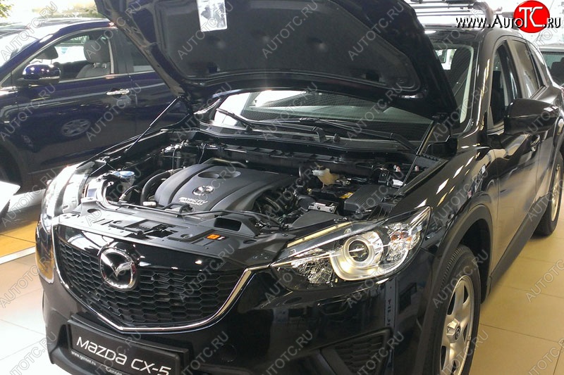 2 199 р. Газовые упоры капота Berkut Mazda CX-5 KE дорестайлинг (2011-2014)  с доставкой в г. Тольятти