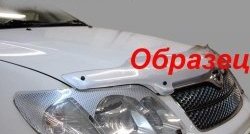 2 199 р. Защита фар CA-Plastik  Mitsubishi Pajero Sport  PB (2008-2013) дорестайлинг (Цвет: прозрачный)  с доставкой в г. Тольятти. Увеличить фотографию 6