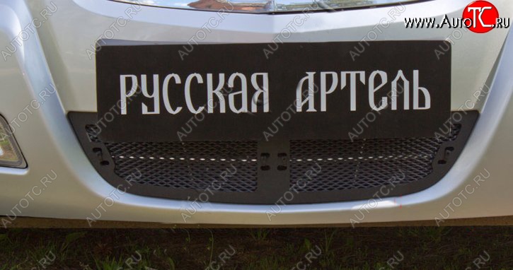 1 399 р. Защитная сетка решетки переднего бампера РА Nissan Almera Classic седан B10 (2006-2013)  с доставкой в г. Тольятти