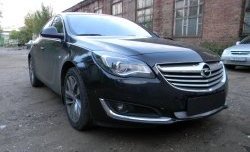 1 539 р. Сетка на бампер (рестайлинг) Russtal (хром)  Opel Insignia  A (2008-2017) дорестайлинг седан, рестайлинг седан, универсал рестайлинг  с доставкой в г. Тольятти. Увеличить фотографию 2