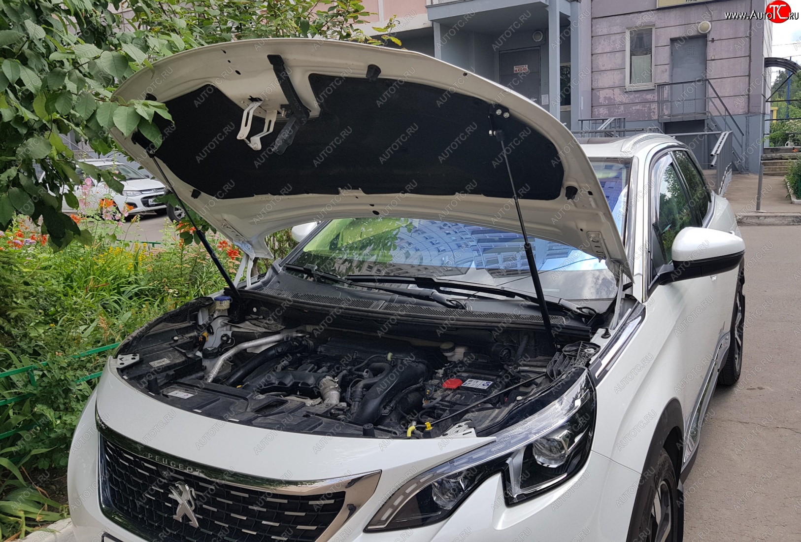 2 799 р. Упоры капота Russtal Peugeot 3008 2 (2016-2025)  с доставкой в г. Тольятти