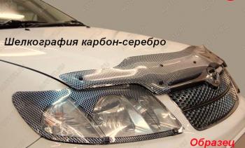 Защита фар CA-Plastic Ford (Форд) Focus (Фокус)  2 (2004-2008) 2 универсал дорестайлинг