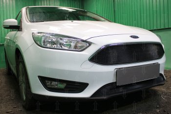 2 769 р. Защитная сетка в бампер (низ, ячейка 3х7 мм) Alfeco Стандарт Ford Focus 3 седан рестайлинг (2014-2019) (Чёрная)  с доставкой в г. Тольятти. Увеличить фотографию 2