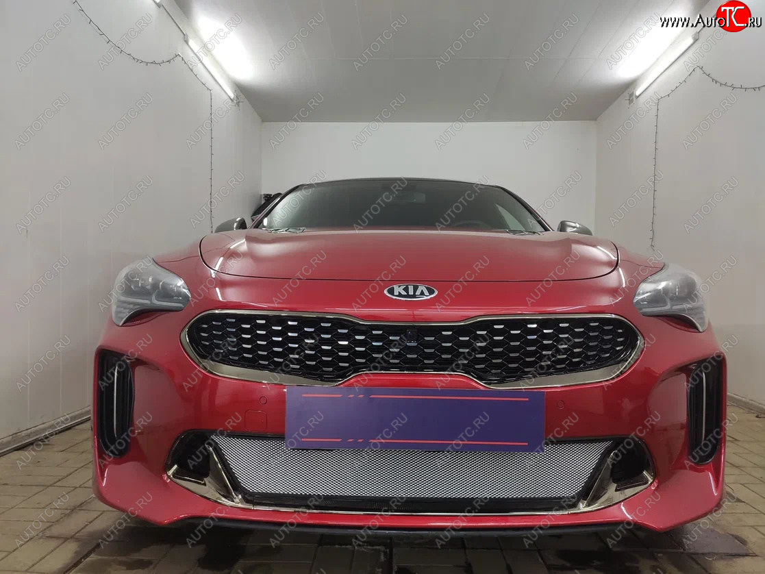 3 999 р. Защитная сетка в бампер (низ, ячейка 3х7 мм) Alfeco Стандарт KIA Stinger (2017-2025) (Хром)  с доставкой в г. Тольятти