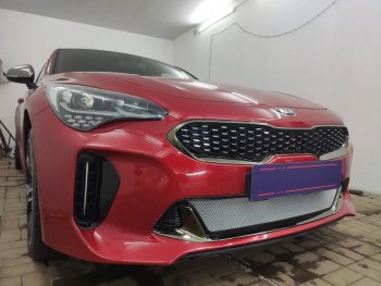 3 999 р. Защитная сетка в бампер (низ, ячейка 3х7 мм) Alfeco Стандарт KIA Stinger (2017-2025) (Хром)  с доставкой в г. Тольятти. Увеличить фотографию 3