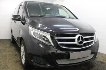 3 899 р. Защитная сетка в бампер (низ, ячейка 3х7 мм) Alfeco Стандарт Mercedes-Benz Vito W447 дорестайлинг (2015-2020) (Хром)  с доставкой в г. Тольятти. Увеличить фотографию 2