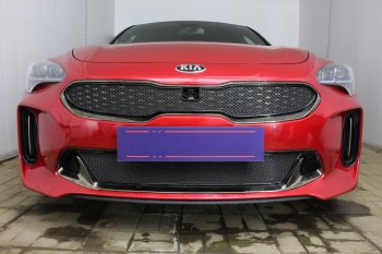 5 999 р. Защитная сетка в бампер (верх, ячейка 4х10 мм) Alfeco Премиум KIA Stinger (2017-2025) (Чёрная)  с доставкой в г. Тольятти. Увеличить фотографию 4