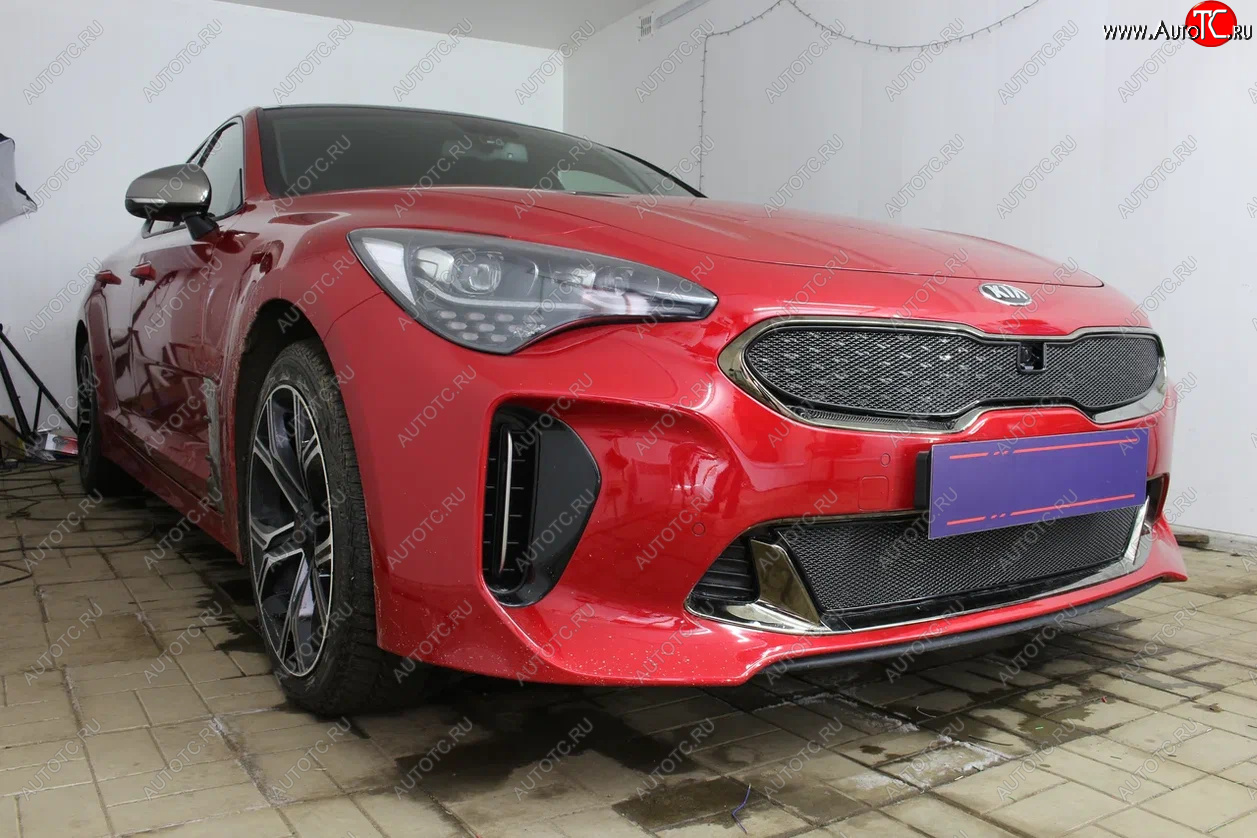 5 999 р. Защитная сетка в бампер (верх, ячейка 4х10 мм) Alfeco Премиум KIA Stinger (2017-2025) (Чёрная)  с доставкой в г. Тольятти