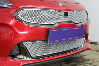 6 299 р. Защитная сетка в бампер (верх, ячейка 4х10 мм) Alfeco Премиум KIA Stinger (2017-2025) (Хром)  с доставкой в г. Тольятти. Увеличить фотографию 4