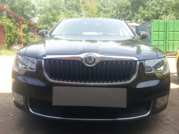 Защитная сетка в бампер (низ, ячейка 4х10 мм) Стрелка11 Премиум Skoda Superb B6 (3T5) универсал доресталийнг (2009-2013) ()