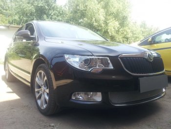 4 299 р. Защитная сетка в бампер (низ, ячейка 4х10 мм) Стрелка11 Премиум Skoda Superb B6 (3T5) универсал доресталийнг (2009-2013) (Хром)  с доставкой в г. Тольятти. Увеличить фотографию 2