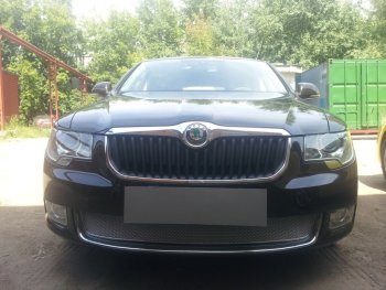 Защитная сетка в бампер (низ, ячейка 4х10 мм) Стрелка11 Премиум Skoda Superb B6 (3T5) универсал доресталийнг (2009-2013) ()