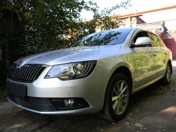 Защитная сетка в бампер (низ, ячейка 4х10 мм) Стрелка11 Премиум Skoda Superb B6 (3T5) универсал рестайлинг (2013-2015) ()