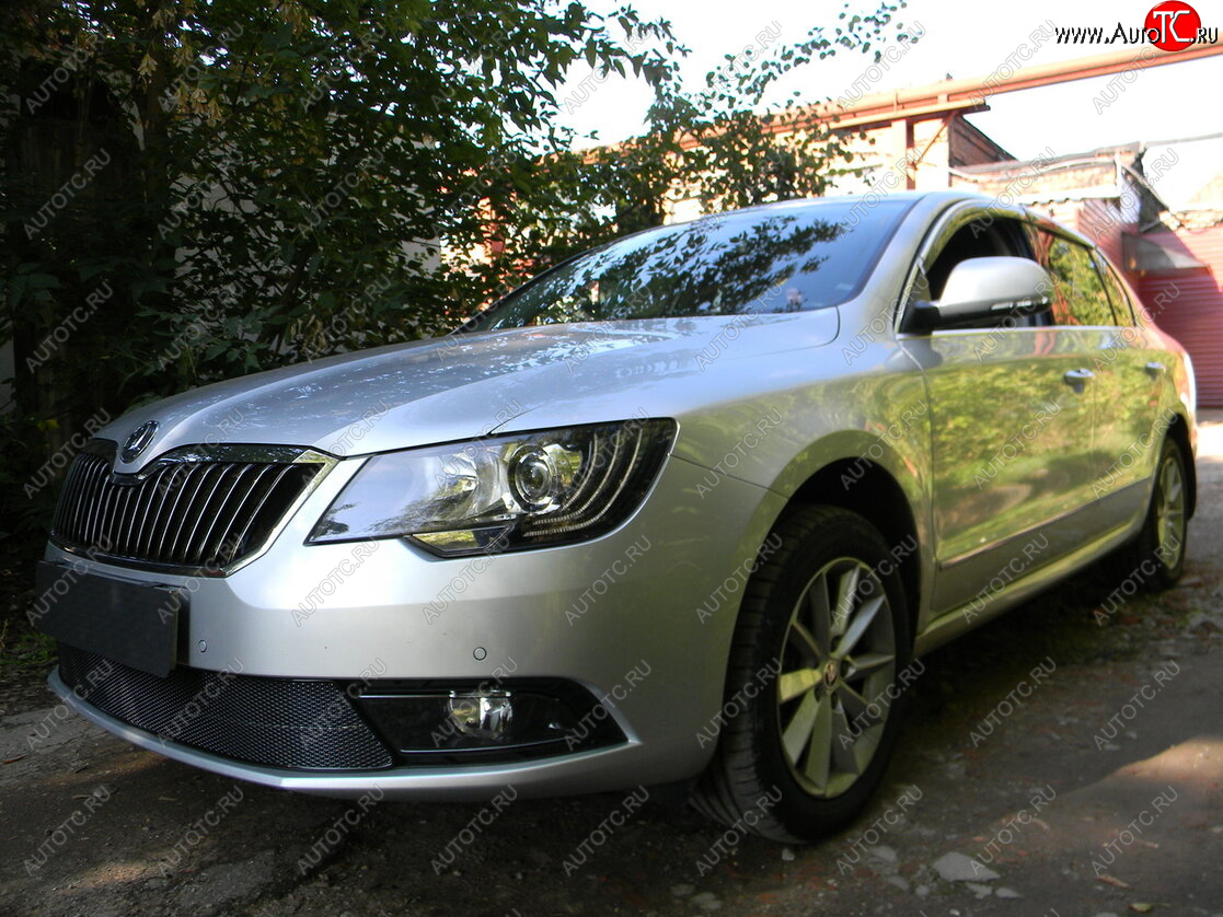 4 599 р. Защитная сетка в бампер (низ, ячейка 4х10 мм) Стрелка11 Премиум Skoda Superb B6 (3T5) универсал рестайлинг (2013-2015) (Чёрная)  с доставкой в г. Тольятти