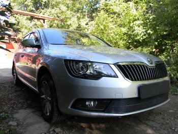 4 599 р. Защитная сетка в бампер (низ, ячейка 4х10 мм) Стрелка11 Премиум Skoda Superb B6 (3T5) универсал рестайлинг (2013-2015) (Чёрная)  с доставкой в г. Тольятти. Увеличить фотографию 3