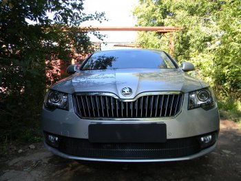 4 599 р. Защитная сетка в бампер (низ, ячейка 4х10 мм) Стрелка11 Премиум Skoda Superb B6 (3T5) универсал рестайлинг (2013-2015) (Чёрная)  с доставкой в г. Тольятти. Увеличить фотографию 2