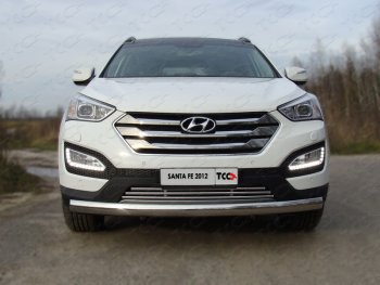 Декоративная вставка переднего бампера ТСС Тюнинг Hyundai (Хюндаи) Santa Fe (Санта)  DM (2012-2019) DM дорестайлинг, рестайлинг ()