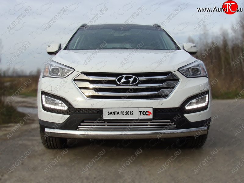 7 349 р. Декоративная вставка переднего бампера ТСС Тюнинг  Hyundai Santa Fe  DM (2012-2019) дорестайлинг, рестайлинг (d 16 мм)  с доставкой в г. Тольятти