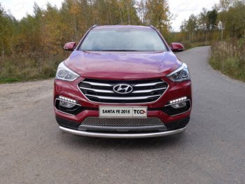 Защита переднего бампера нижняя d60,3 мм ТСС Тюнинг Hyundai Santa Fe DM рестайлинг (2015-2019)