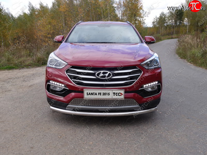 15 999 р. Защита переднего бампера нижняя d60,3 мм ТСС Тюнинг Hyundai Santa Fe DM рестайлинг (2015-2019) (нержавейка)  с доставкой в г. Тольятти