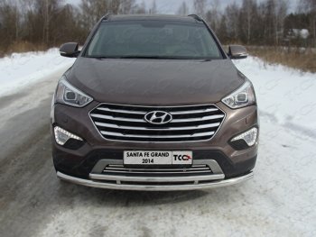 Декоративная вставка переднего бампера ТСС Тюнинг Hyundai (Хюндаи) Grand Santa Fe (гранд)  1 DM (2013-2018) 1 DM дорестайлинг, рестайлинг