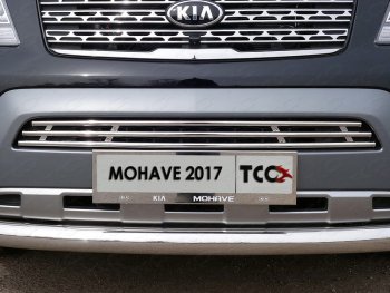 7 349 р. Декоративная вставка переднего бампера ТСС Тюнинг  KIA Mohave  HM (2017-2020) рестайлинг (d 16 мм)  с доставкой в г. Тольятти. Увеличить фотографию 1