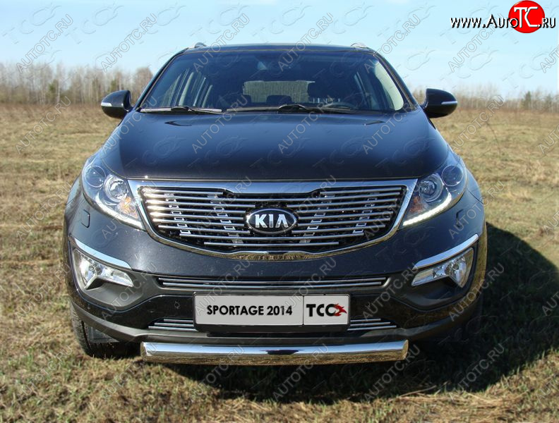 2 899 р. Средняя декоративная вставка в бампер ТСС Тюнинг  KIA Sportage  3 SL (2014-2016) рестайлинг (d 12 мм)  с доставкой в г. Тольятти