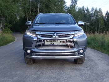 Защита переднего бампера нижняя овальная 75*42 мм ТСС Тюнинг Mitsubishi (Митсубиси) Pajero Sport (Паджеро)  PB (2013-2017) PB рестайлинг