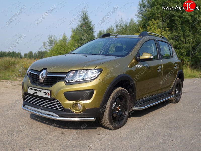 12 299 р. Защита переднего бампера нижняя d42,4 мм ТСС Тюнинг  Renault Sandero Stepway  (B8) (2014-2018) дорестайлинг (нержавейка)  с доставкой в г. Тольятти