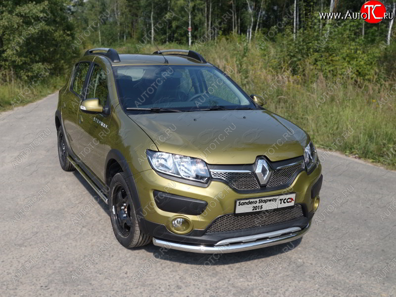 15 549 р. Защита переднего бампера нижняя d60,3 мм ТСС Тюнинг  Renault Sandero Stepway  (B8) (2014-2018) дорестайлинг (нержавейка)  с доставкой в г. Тольятти