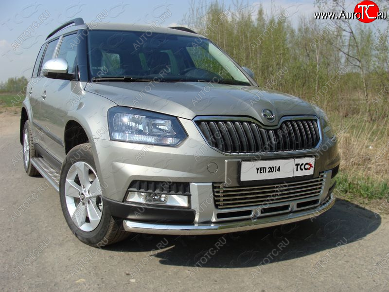 19 999 р. Защита переднего бампера нижняя d60,3 мм ТСС Тюнинг  Skoda Yeti (2013-2018) (нержавейка)  с доставкой в г. Тольятти