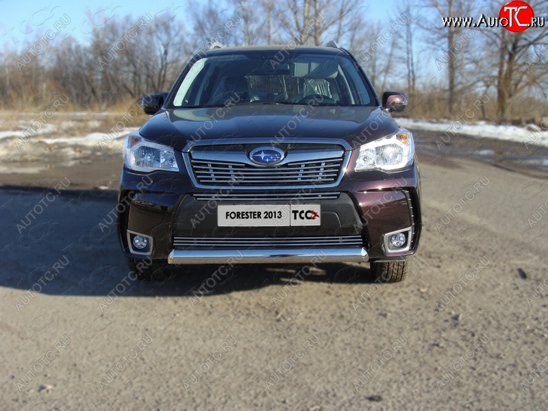 4 299 р. Нижняя декоративная вставка в бампер (спорт) ТСС Тюнинг Subaru Forester SJ дорестайлинг (2012-2016) (d 12 мм)  с доставкой в г. Тольятти