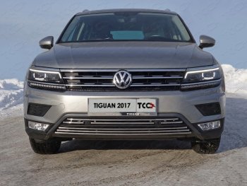 Декоративная вставка переднего бампера (без парктроников) ТСС Тюнинг Volkswagen Tiguan Mk2 дорестайлинг (2016-2020)