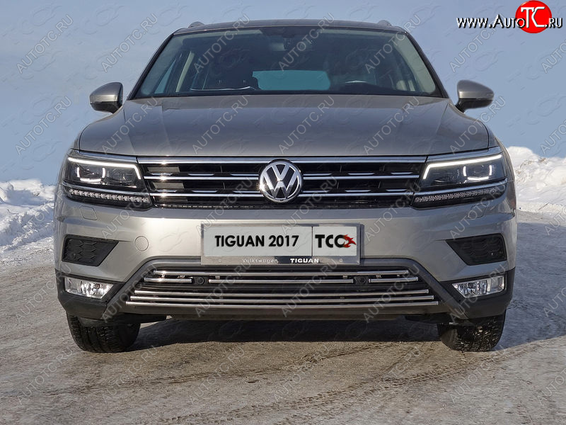 7 349 р. Нижняя декоративная вставка в бампер (пакет Offroad) ТСС Тюнинг  Volkswagen Tiguan  Mk2 (2016-2020) дорестайлинг (d 16 мм)  с доставкой в г. Тольятти